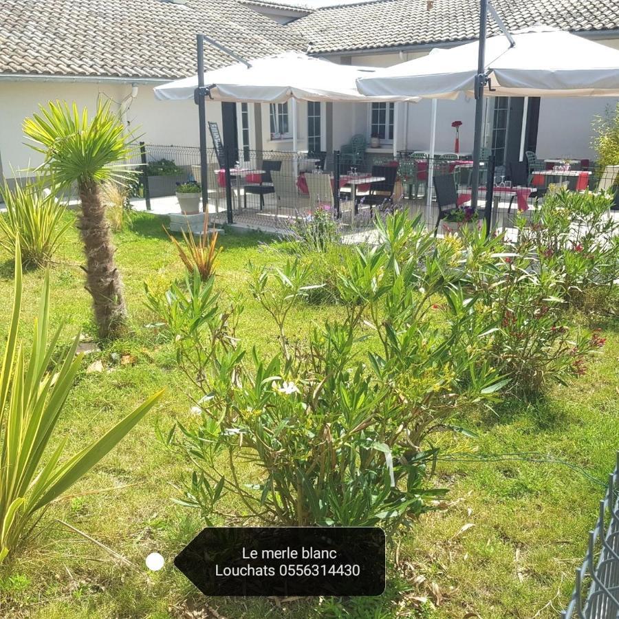 Le Merle Blanc Louchats Hotel Екстериор снимка